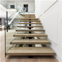 Elegant Interior Steel Wood Frameless Glass Railing White Straight Staircase